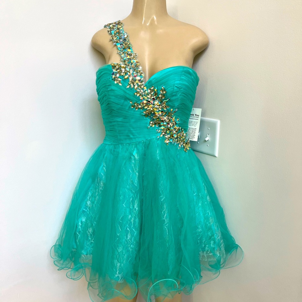 Aspeed jade one shoulder tulle and lace dress sz Medium.
